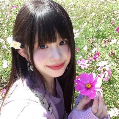 蜂妹与狗狗猫海报